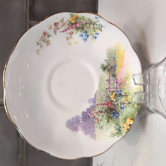 Royal Albert Tea Cup and Saucer - Picture 3 of 8